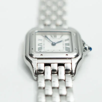 Cartier Panthere de Cartier - WSPN0013 - 2024
