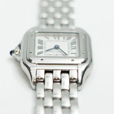 Cartier Panthere de Cartier - WSPN0013 - 2024