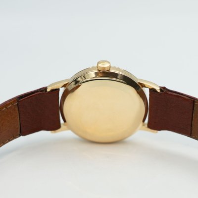 IWC IW8531